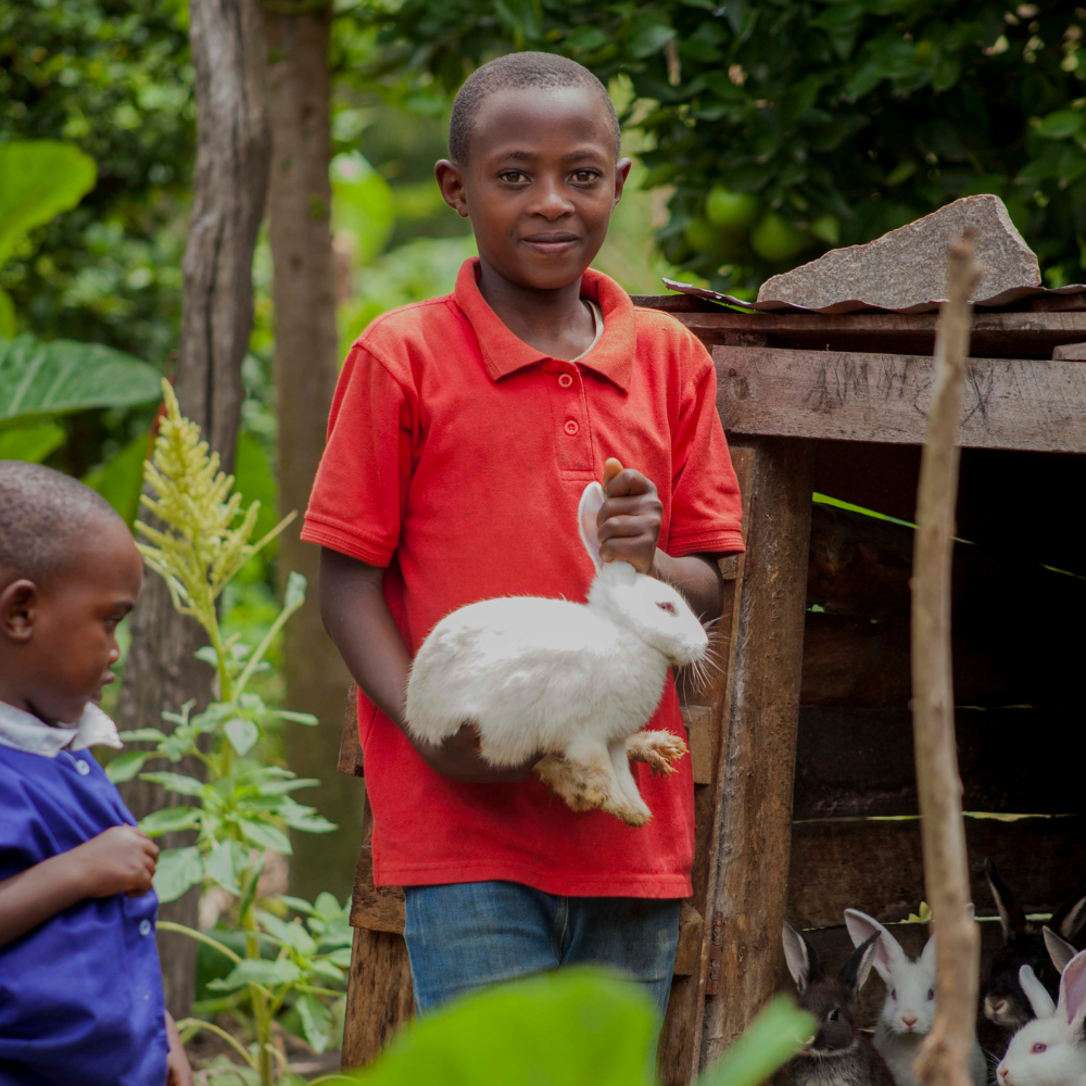 A boy and a rabbit.