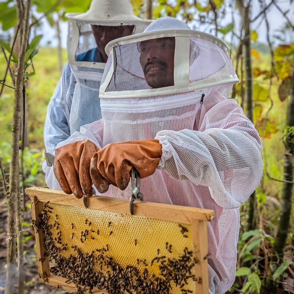 GC 2025_Beehive