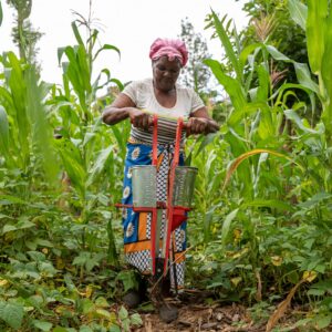 woman using jab planter in field