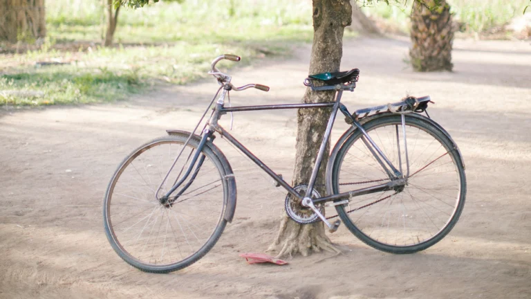 A bicycle is parked up against a tree