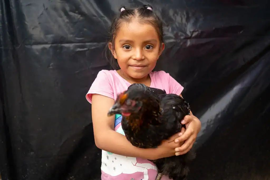 girl holds a chicken