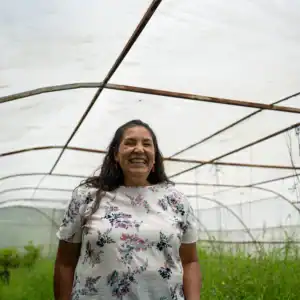 Person standing inside a greenhouse among growing plants.
