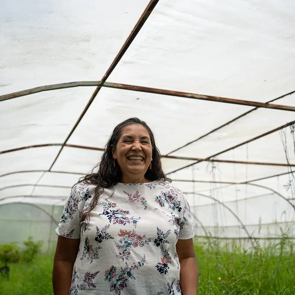 Person standing inside a greenhouse among growing plants.