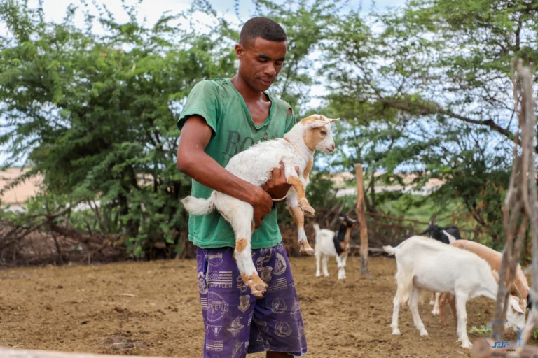 man-holds-baby-goat