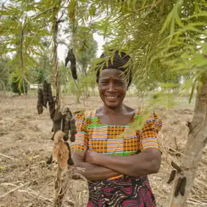 Person holding a young tree sapling outdoors.