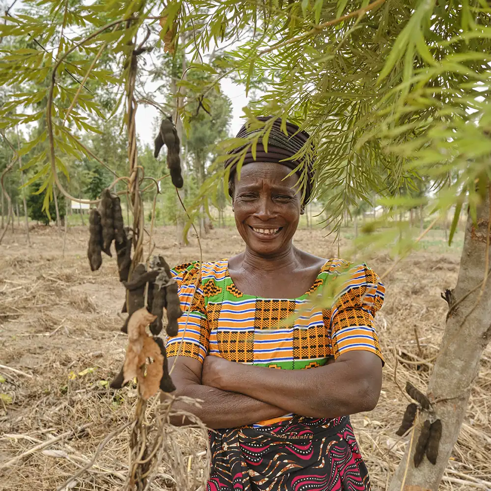 Person holding a young tree sapling outdoors.