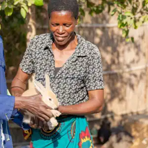 Person holding a rabbit outdoors.