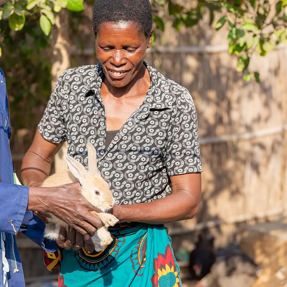 Person holding a rabbit outdoors.