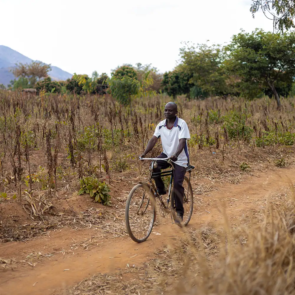 Man riding a bicycle outdoors along a dirt pathway.