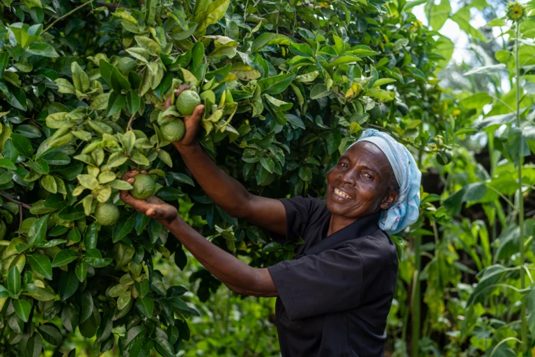 woman-holding-limes-in-front-of-tree